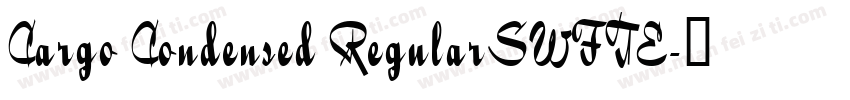 Cargo Condensed RegularSWFTE字体转换